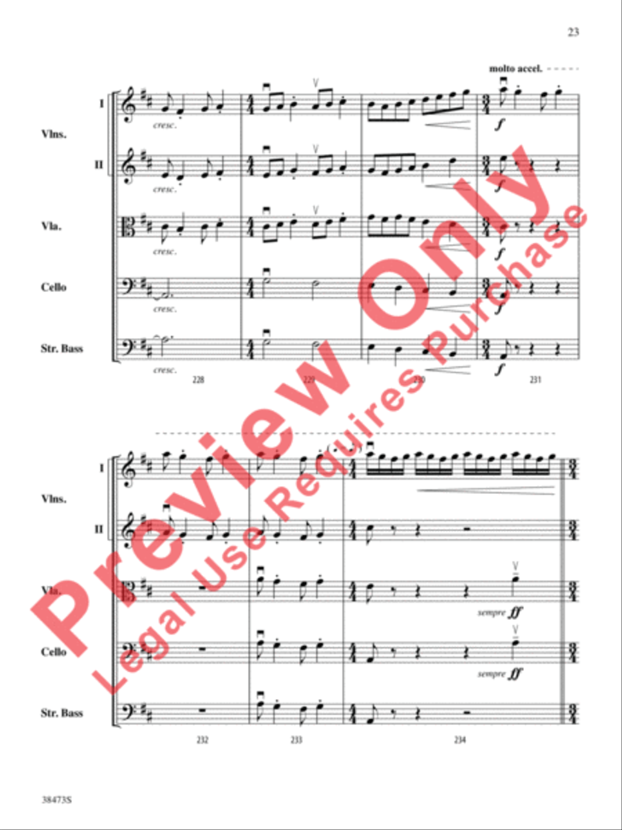 Lonestar Variations String Orchestra scores gallery preview page 24