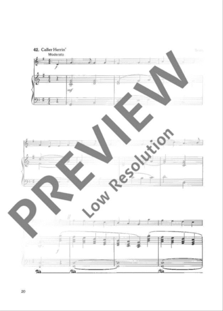 Enjoy the Recorder Soprano Recorder scores gallery preview page 21
