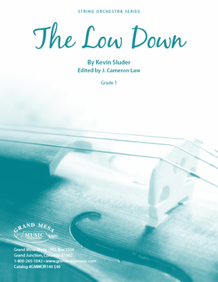 Book cover for The Low Down