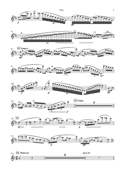 Fantaisie Pastorale Hongroise, op.26, for Flute and String Orchestra (arr.), Set of Parts