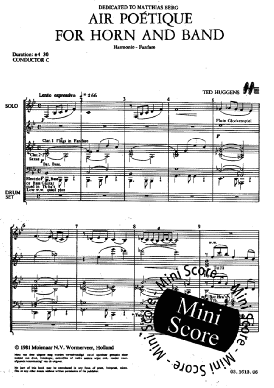 Air Poetique for Horn and Band Concert Band scores gallery preview page 5