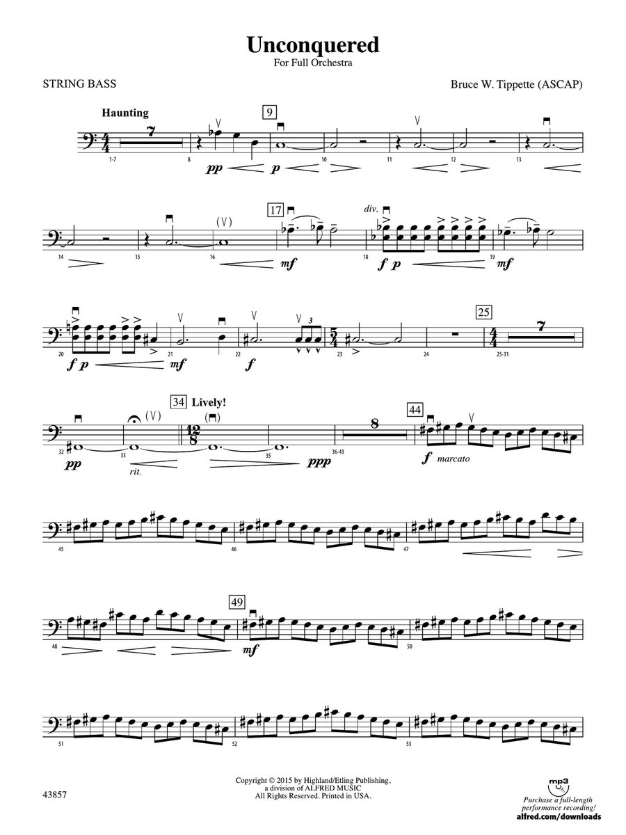 Unconquered: String Bass