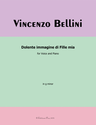 Book cover for Dolente immagine di Fille mia, by Vincenzo Bellini, in g minor