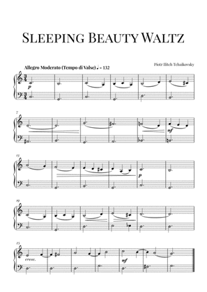 Book cover for Tchaikovsky: Sleeping Beauty Waltz (Easy/Beginner)