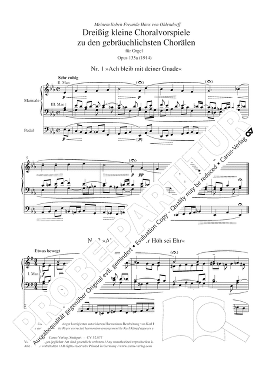 Thirty Short Preludes on the most common chorales