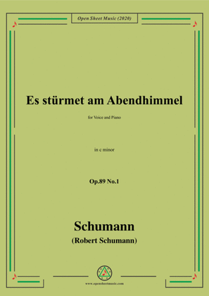 Book cover for Schumann-Es stürmet am Abendhimmel,Op.89 No.1,in c minor