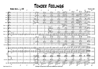 Book cover for Tender feelings - Bossa Nova/Samba - Big Band - D-Minor - Score Only