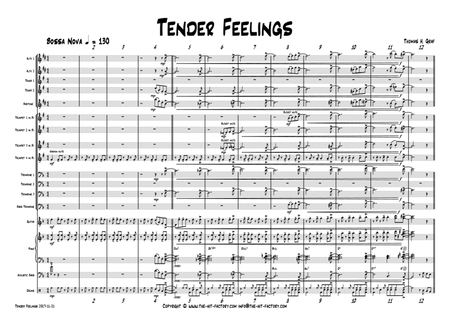 Tender feelings - Bossa Nova/Samba - Big Band - D-Minor - Score Only