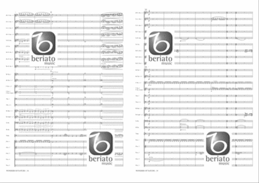 Wonders of Nature Fanfare Band scores gallery preview page 8