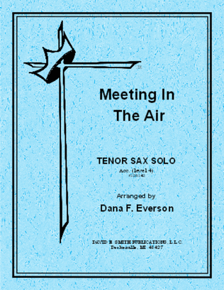 Book cover for Meeting In The Air