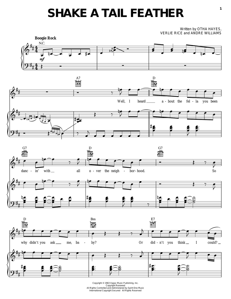 Shake A Tail Feather Acoustic Guitar scores gallery preview page 1