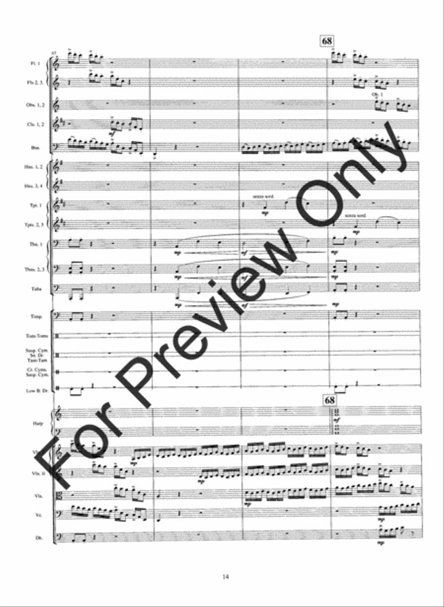 Warrior's Run String Orchestra scores gallery preview page 17