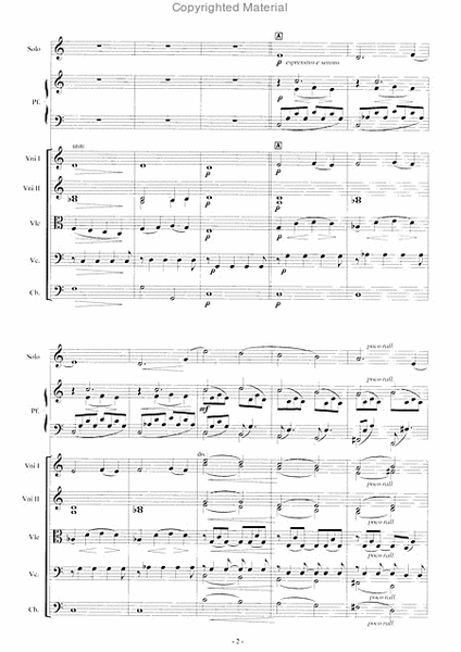 Ave Maria per solo (bandoneon), pianoforte e orchestra d'archi