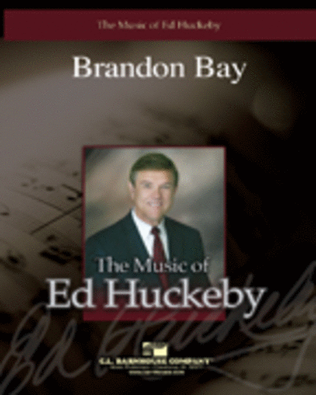 Book cover for Brandon Bay