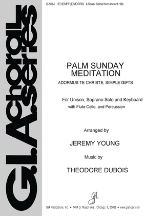Palm Sunday Meditation - Instrument edition