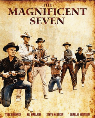 Book cover for The Magnificent Seven