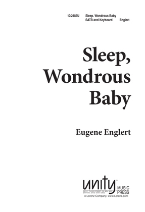 Book cover for Sleep, Wondrous Baby