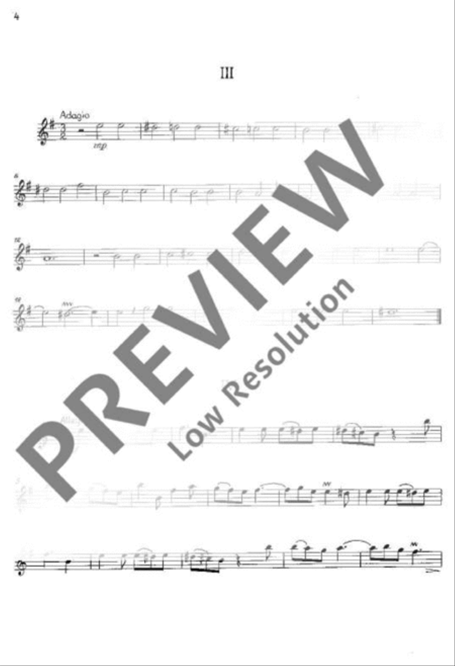 Sonata in E minor String Orchestra scores gallery preview page 4