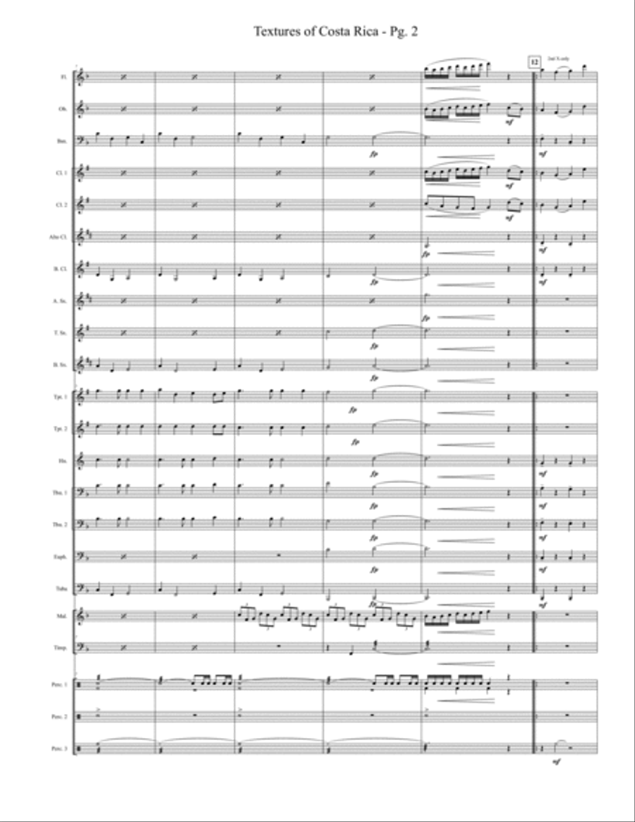 Textures of Costa Rica Concert Band scores gallery preview page 3