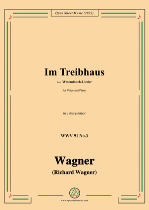 Book cover for R. Wagner-Im Treibhaus,in c sharp minor,WWV 91 No.3,from Wesendonck-Lieder