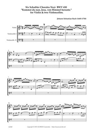 Six Schubler Chorales No.5 BWV649 "Ach bleib bei uns, Herr Jesu Christ." for Violin & 2 Violoncellos
