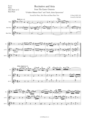 J S Bach Recit. and Aria from the Easter Oratorio, BWV 249. Flute trio (Flute, Alto Flute in G and B