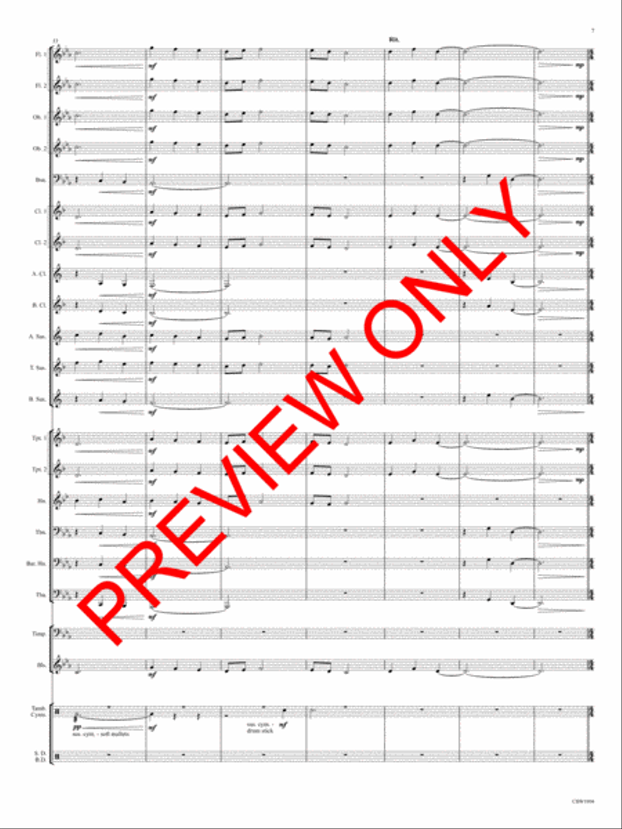 Synergos Synergos Concert Band scores gallery preview page 8