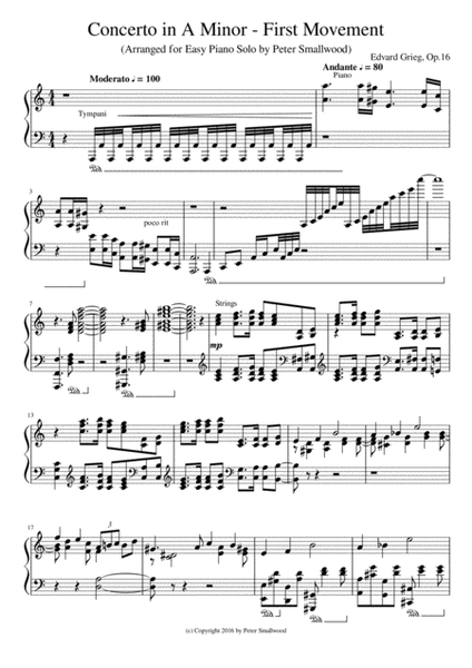 Grieg Piano Concerto - First Movement - Piano Solo