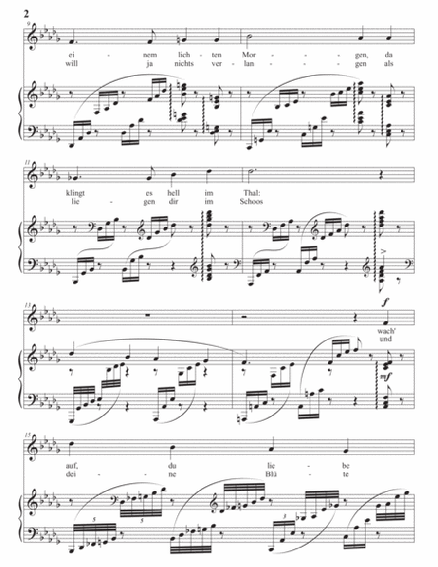 SCHUMANN: An einem lichten Morgen, Op. 23 no. 2 (transposed to D-flat major)