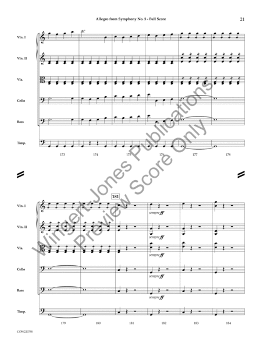 Allegro String Orchestra scores gallery preview page 20