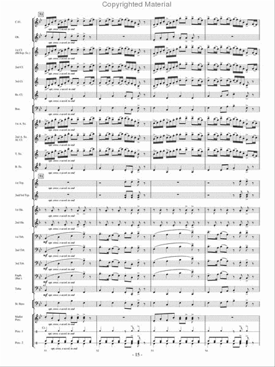 The Woodwind Polka Concert Band scores gallery preview page 14
