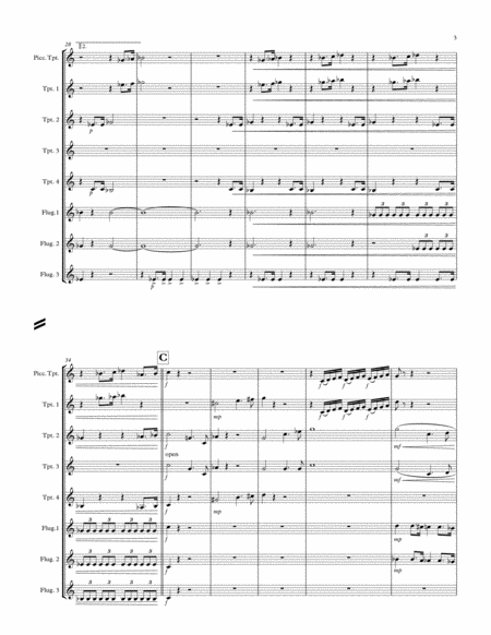 Symphonic Metamorphosis IV: Marche for Trumpet Ensemble image number null