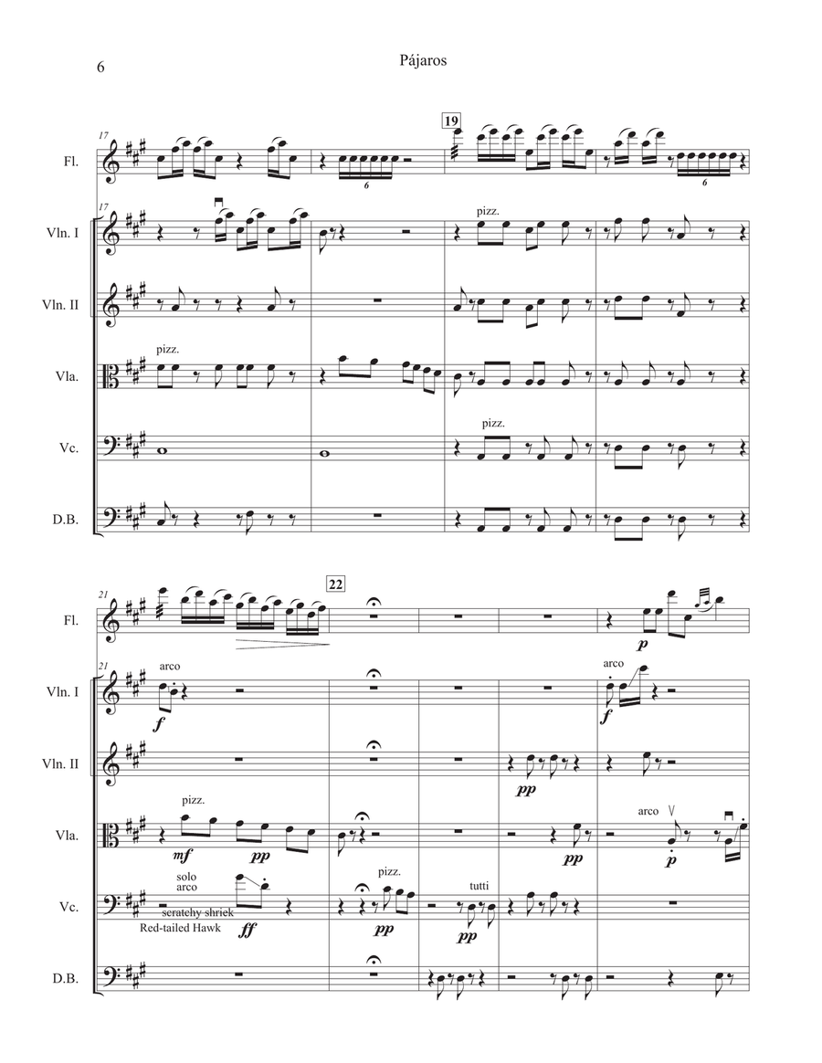 Pájaros (Birds) for solo flute and strings Chamber Orchestra scores gallery preview page 6