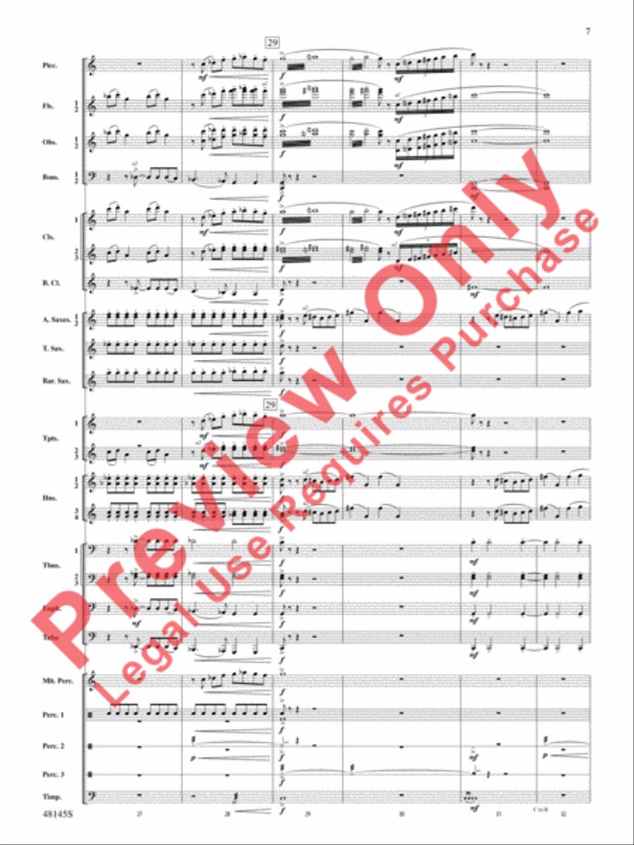 The River Seneca The River Seneca Concert Band scores gallery preview page 8