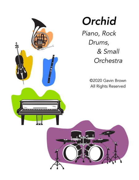 Orchid for piano, rock drums, and small orchestra image number null