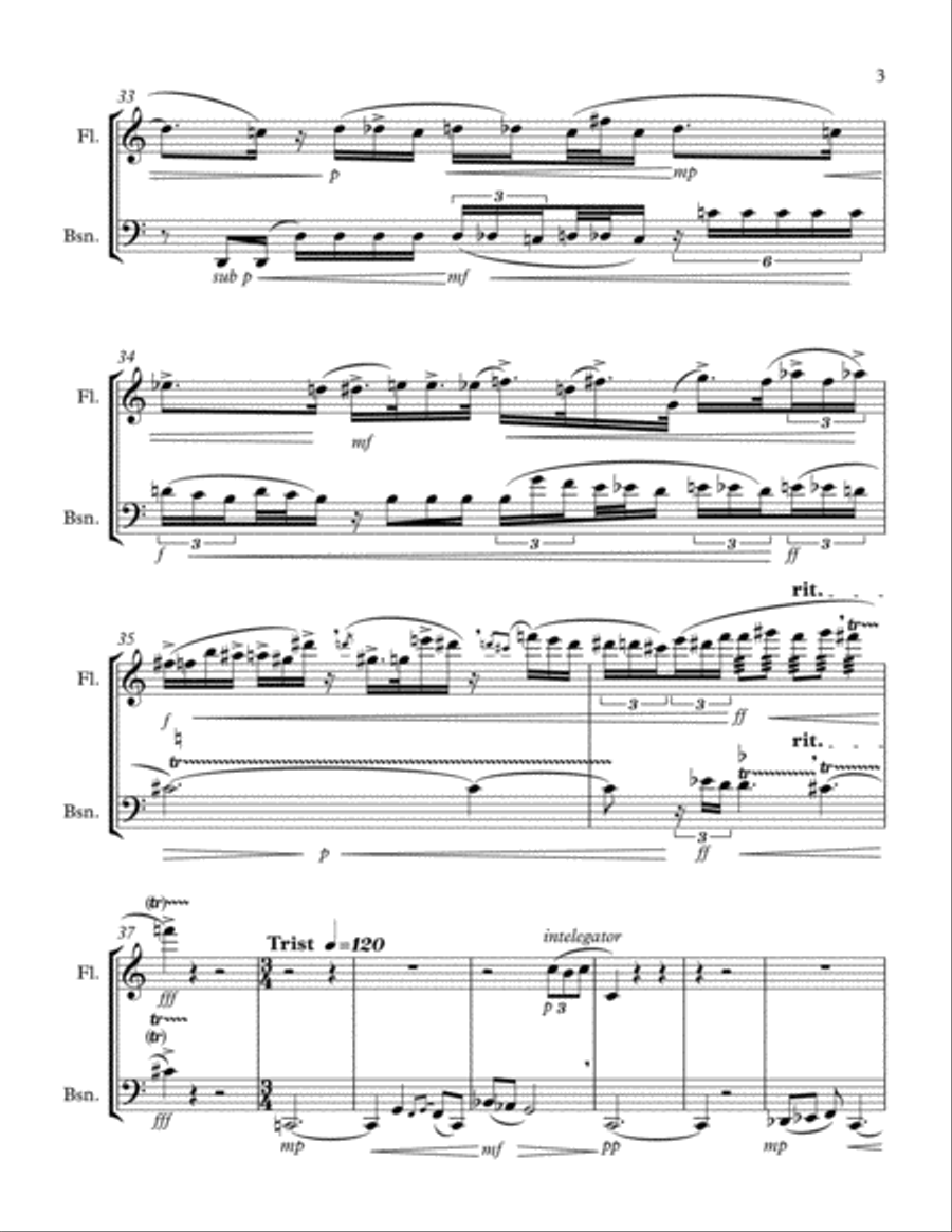 The Cursed Flute (Flautul blestemat) - duo for flute and bassoon Woodwind Duet scores gallery preview page 3