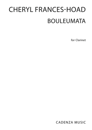 Book cover for Boulemeta