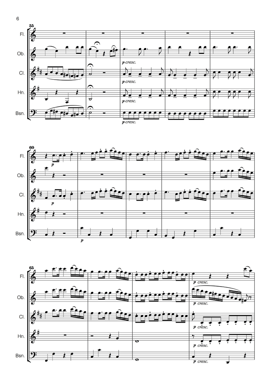 Non Più Andrai from The Marriage of Figaro (Mozart) for Wind Quintet Woodwind Quintet scores gallery preview page 6