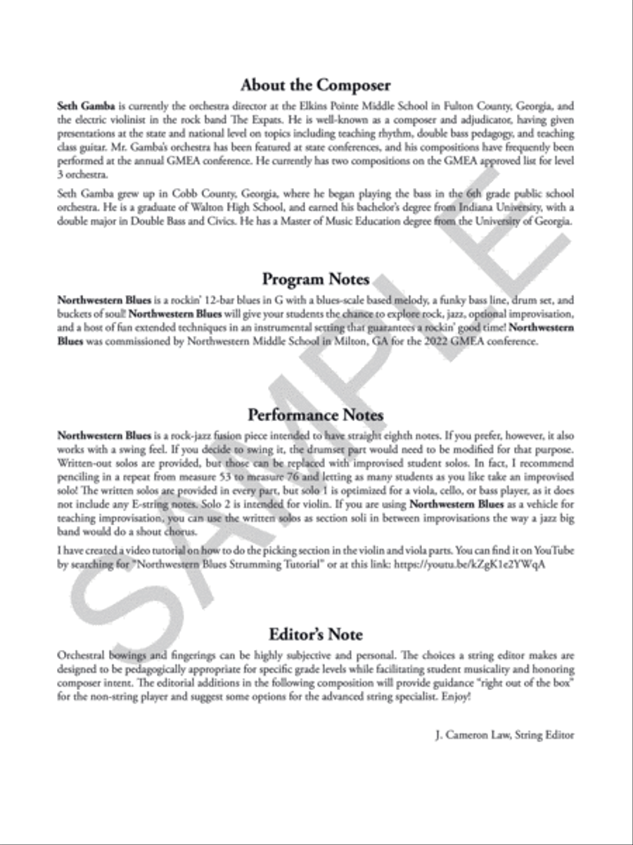 Northwestern Blues Northwestern Blues String Orchestra scores gallery preview page 3