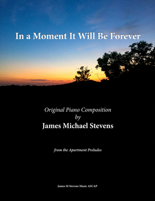 Book cover for In a Moment It Will Be Forever