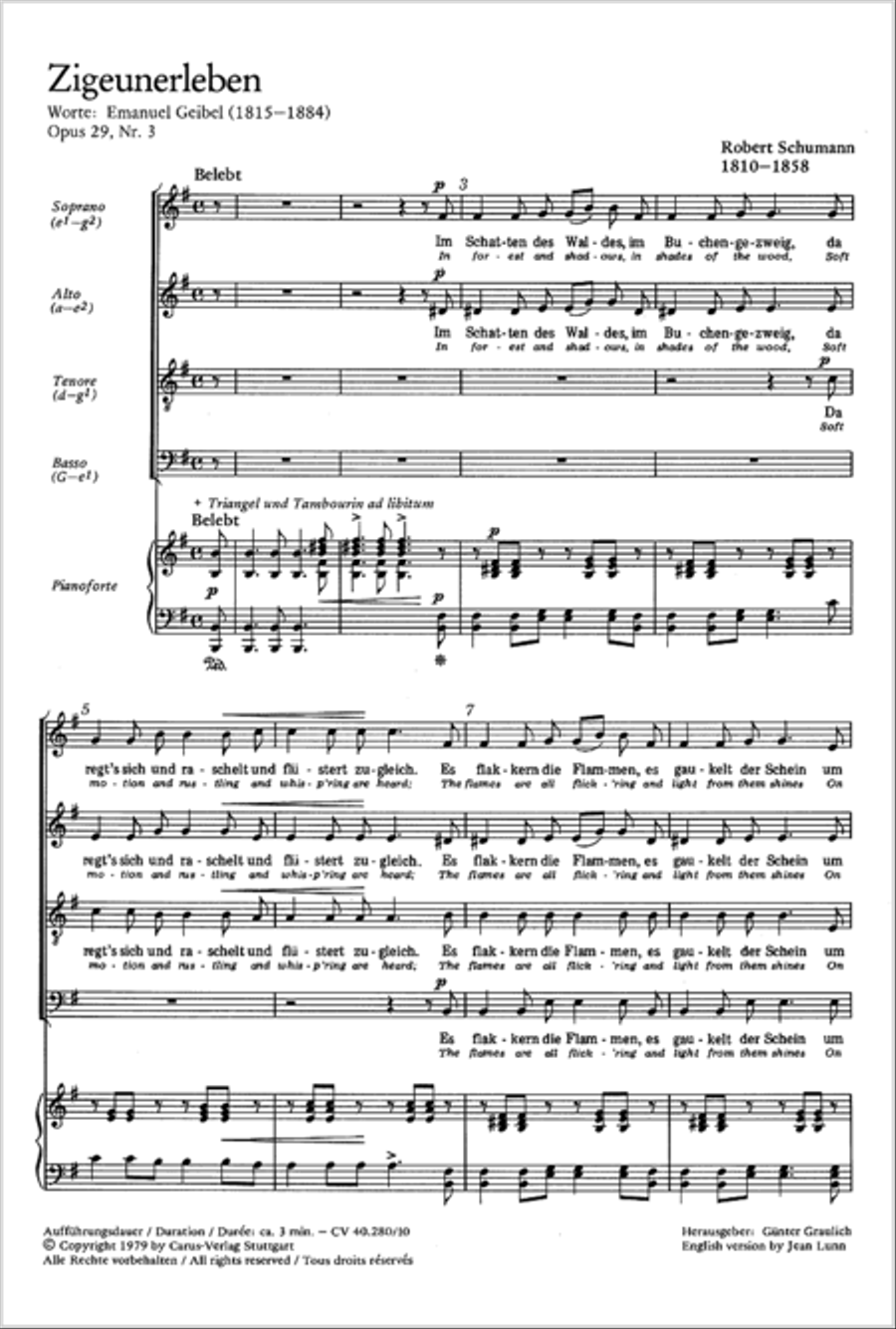 In forest and shadows (Zigeunerleben) 4-Part scores gallery preview page 10