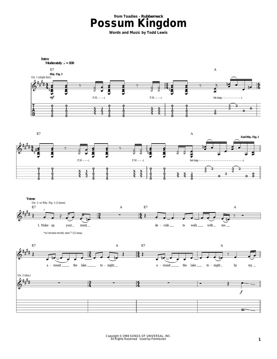 Possum Kingdom Acoustic Guitar scores gallery preview page 1