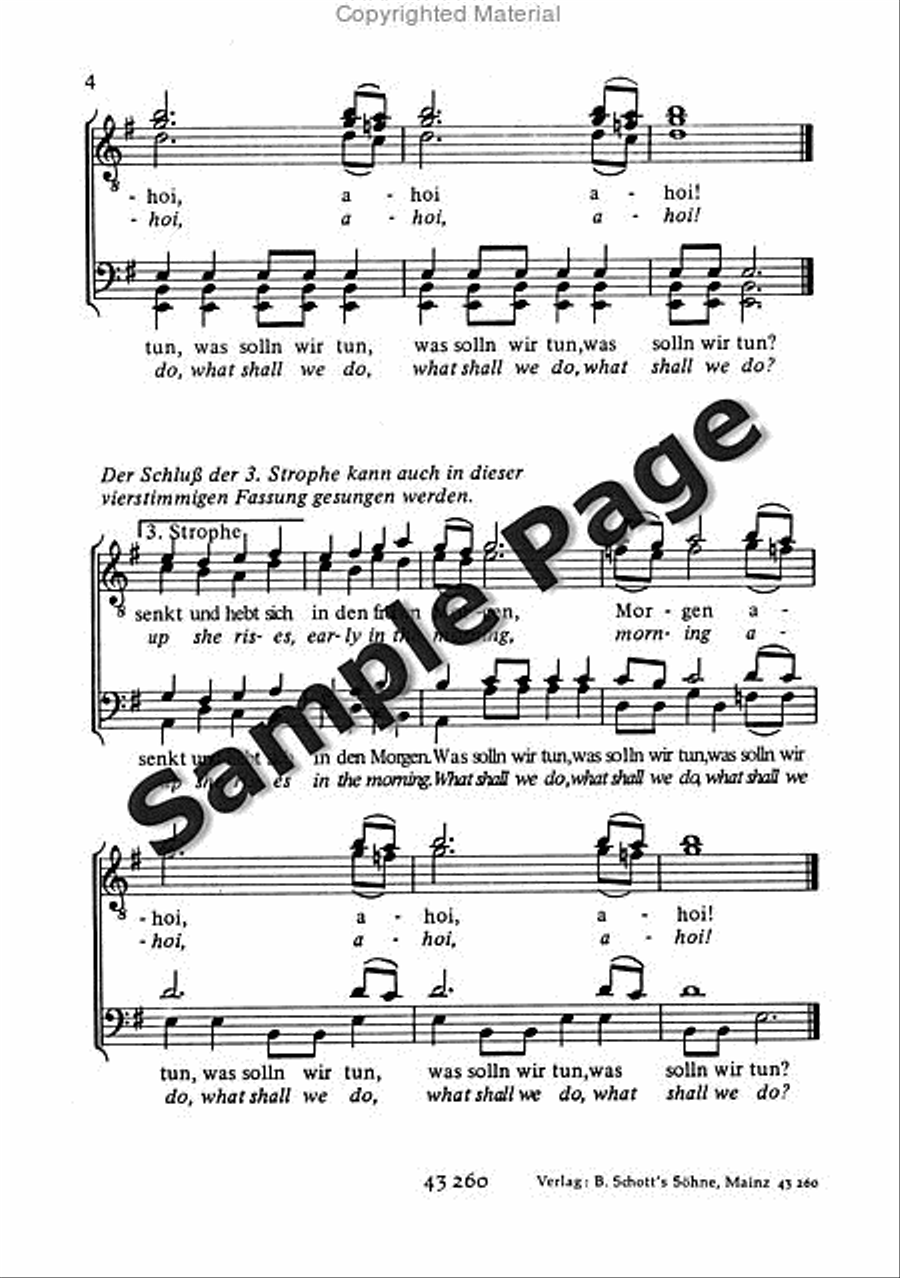 Kubizek A Betrunkene Seemann Men's Choir scores gallery preview page 5