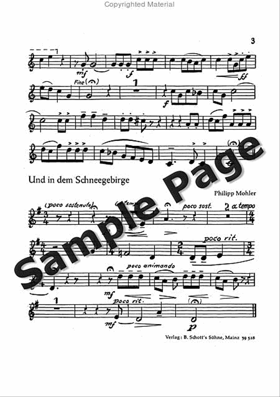 Mohler Ph Festliche Liedkantate Op37(dsb TTBB scores gallery preview page 28