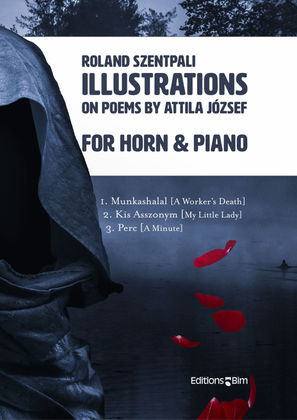 Book cover for Illustrations