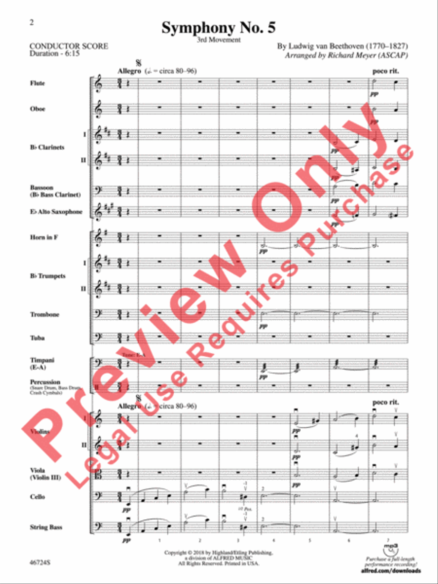Symphony No. 5 Symphony No. 5 Full Orchestra scores gallery preview page 3