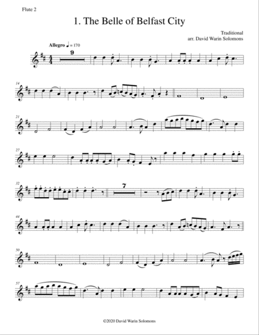 12 Flute duos based on Folksongs and Old Time Music Hall songs Flute Duet scores gallery preview page 6
