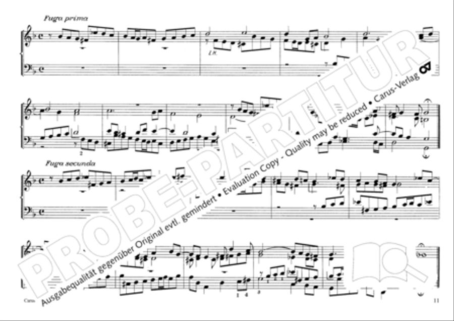 Musikalischer Blumenstrauss Organ Solo scores gallery preview page 14