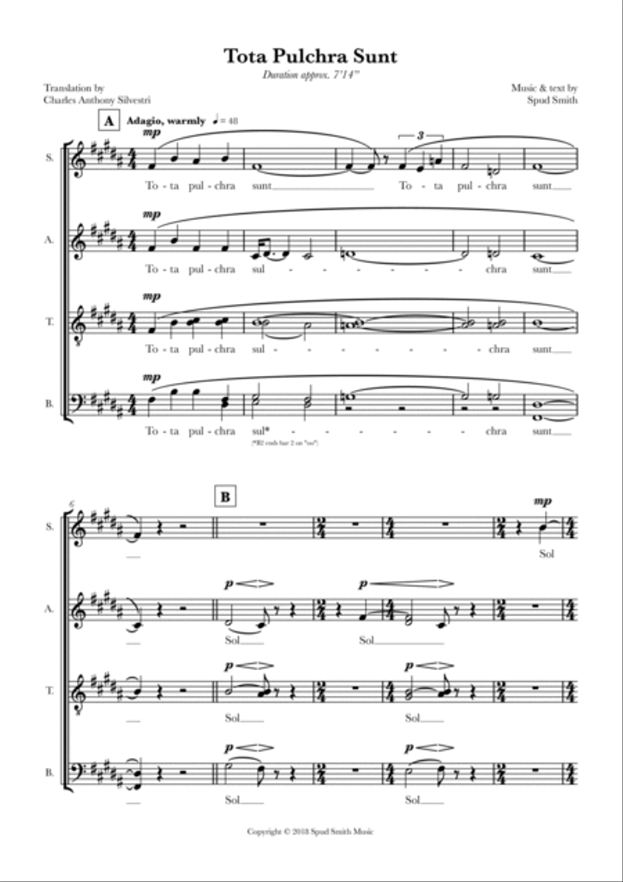 Tota Pulchra Sunt Divisi scores gallery preview page 3