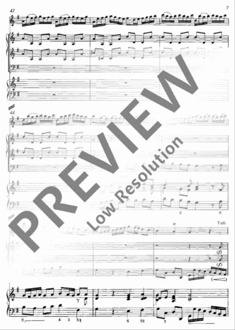 Concerto E minor Flute Solo scores gallery preview page 8